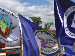 Water Protectors Are Everywhere