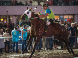 Indian Horse Relay showcases Native American horse athletes
