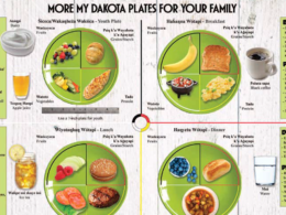 Lower Sioux Healthy Meals – a Model