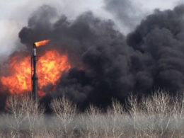 Oil, Water and the Judges