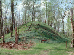 What’s New in the Community – November 2018