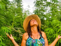 Winona Laduke standing in hemp field.