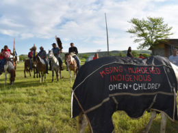 horse and people