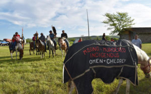 horse and people