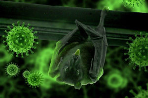 bat hanging upside down with covid virus over lay