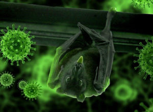 bat hanging upside down with covid virus over lay