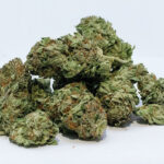 cannabis