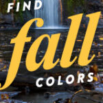 Metre Parks Trials oct ad