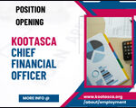 CFO (160 x 120 px) – 1